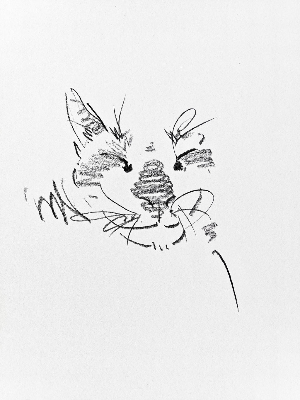 Nabi Sketchbook Collection - Original Hand-Drawn Cat Portraits