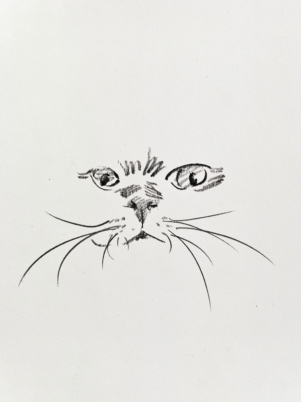 Nabi Sketchbook Collection - Original Hand-Drawn Cat Portraits