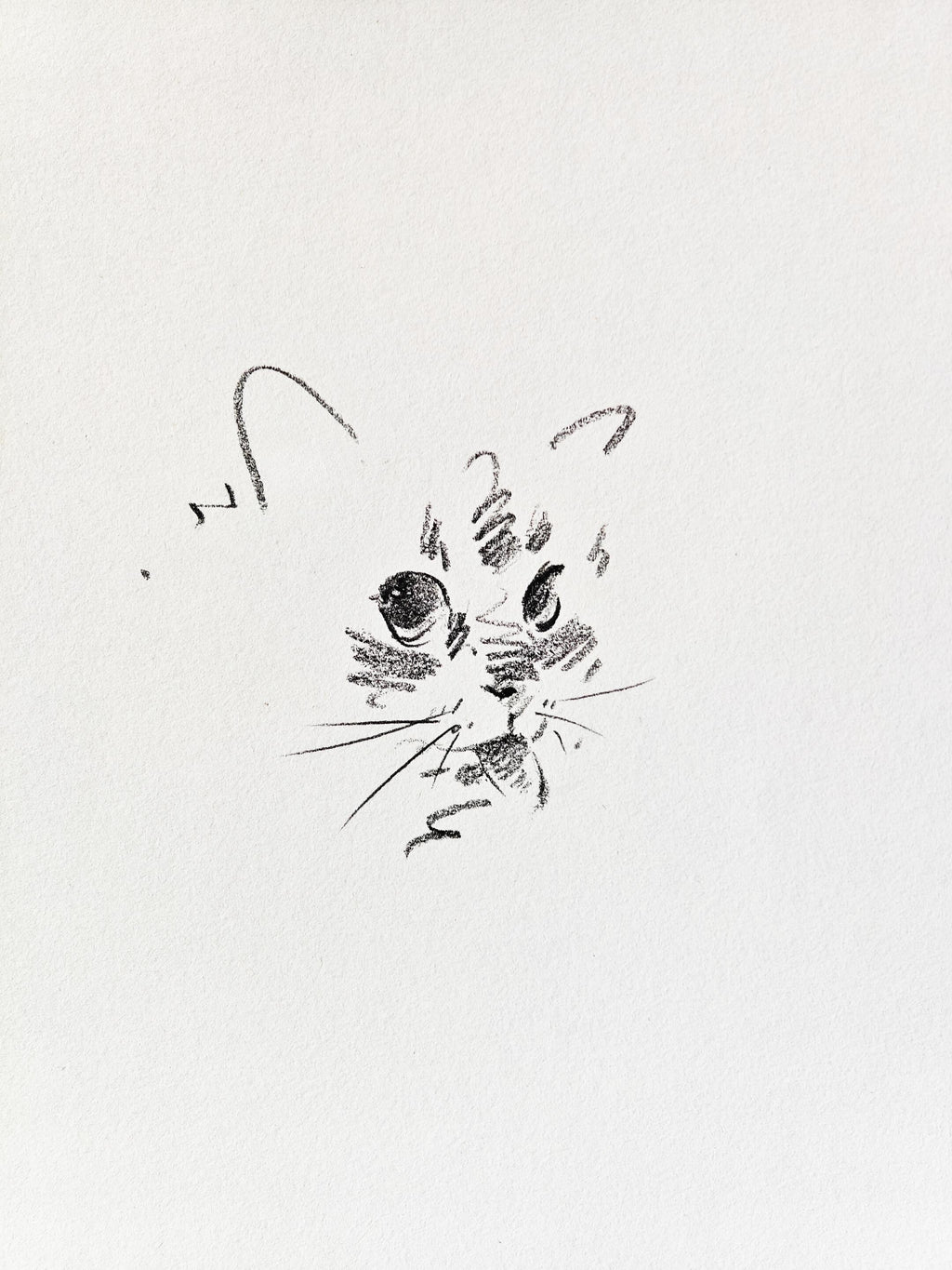 Nabi Sketchbook Collection - Original Hand-Drawn Cat Portraits